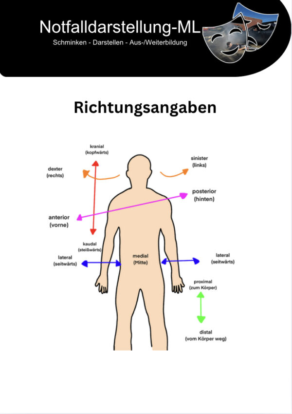 Richtungsangaben Anatomie